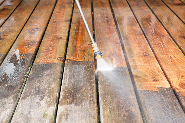 Best Residential Pressure Washing Services  in Wolverine Lake, MI