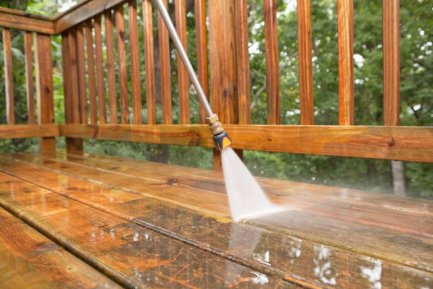 Best Residential Pressure Washing Services  in Wolverine Lake, MI