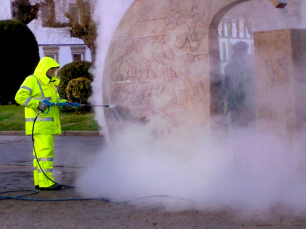Best Pressure Washing Siding  in Wolverine Lake, MI