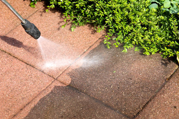 Best Affordable Pressure Washing  in Wolverine Lake, MI